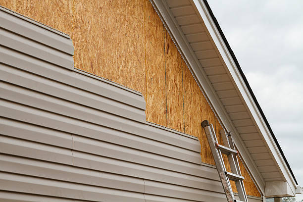 Professional Siding Inspection technician working in Sandy Ridge, NC